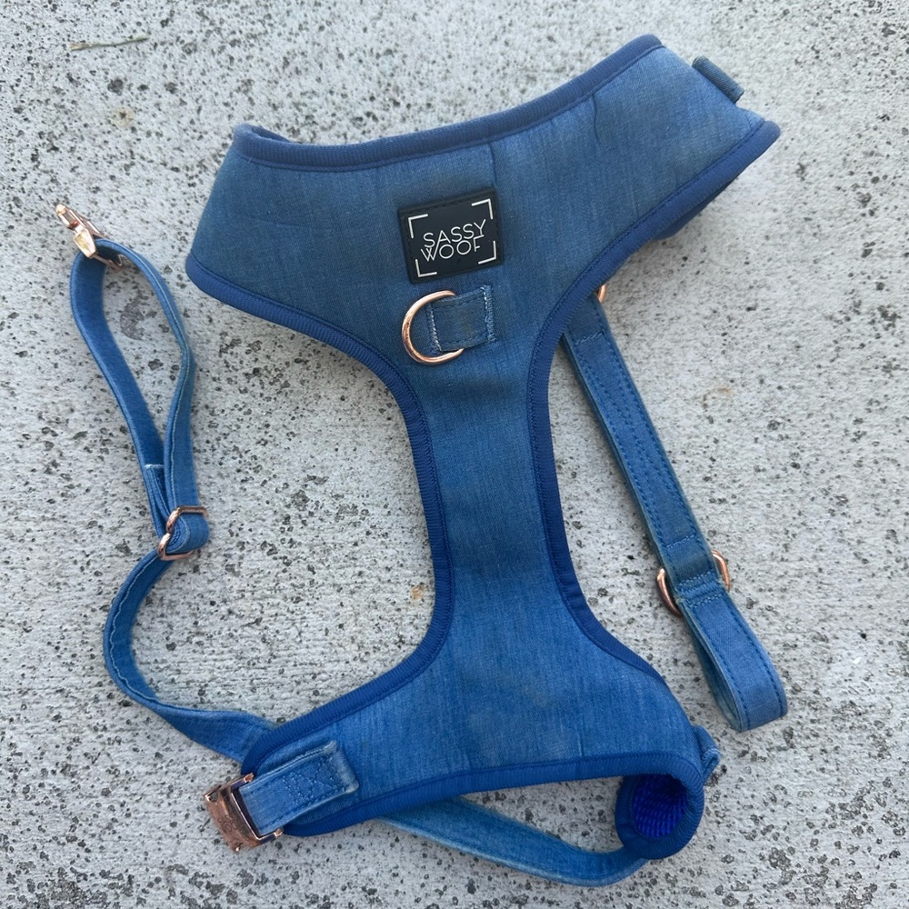 Sassy Woof Blue Dog Harness